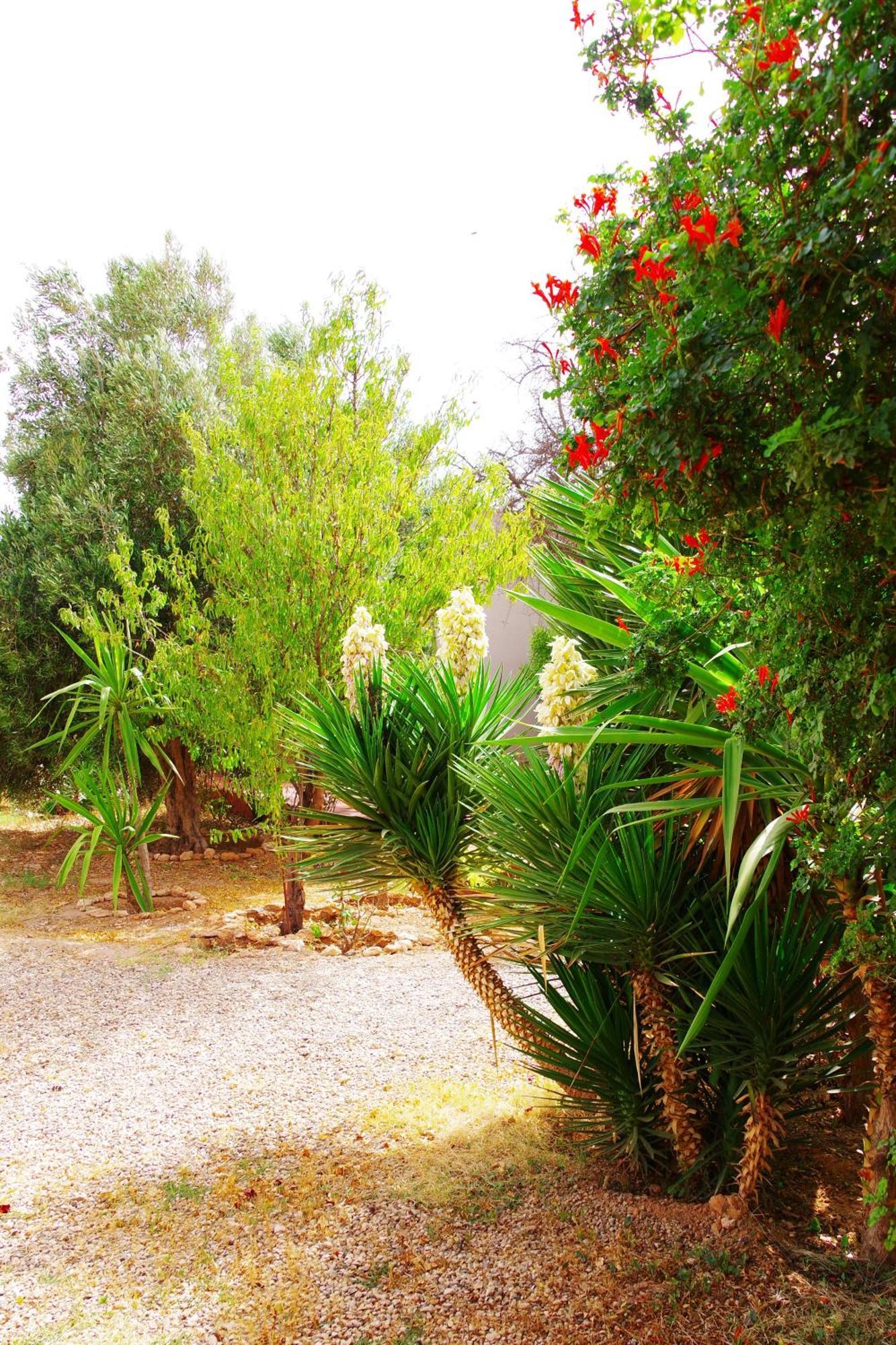 Artgana Lodge Essaouira Luaran gambar